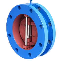 Check Valve Check Valve